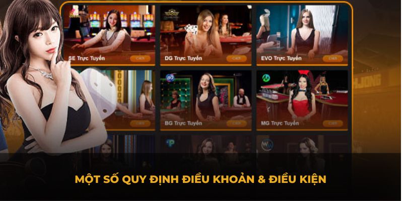 Một số quy định điều khoản & điều kiện hội viên nên biết